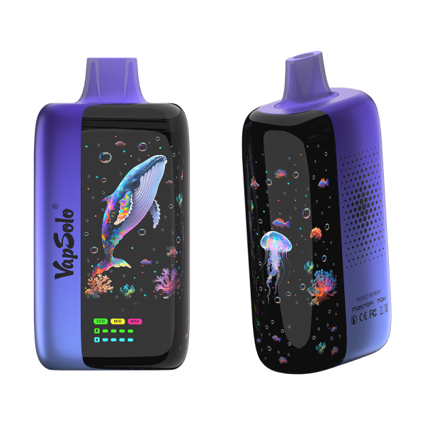 VAPSOLO MASTER 70000 puffs