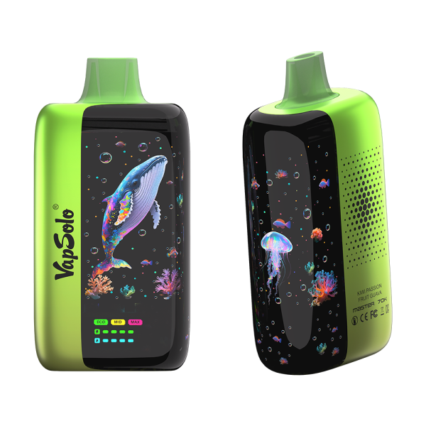 VAPSOLO MASTER 70000 puffs