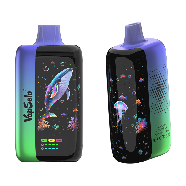 VAPSOLO MASTER 70000 puffs