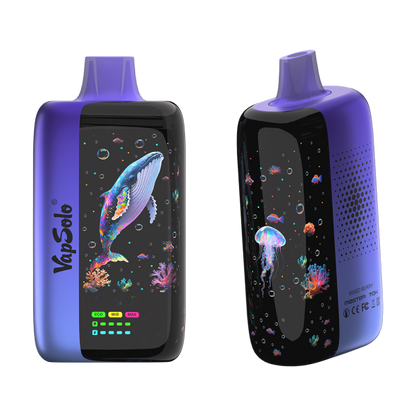 VAPSOLO MASTER 70000 puffs